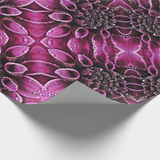 Raindrop Dahlias Cadeaupapier (Hoek)