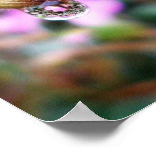 Raindrop holt reflectie poster (Hoek)