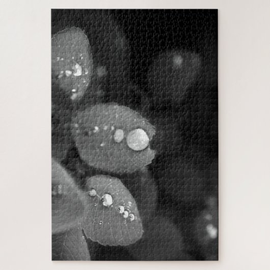 Raindrop op een lef legpuzzel (Verticaal)