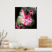 Raindrop op kaladium poster/wandkunst poster (Keuken)