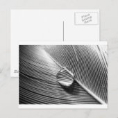 Raindrop op Leaf Briefkaart (Voorkant / Achterkant)