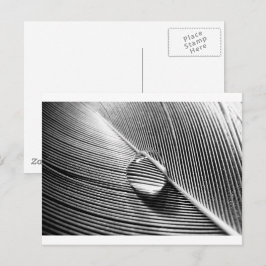 Raindrop op Leaf Briefkaart (Voorkant / Achterkant)