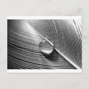 Raindrop op Leaf Briefkaart