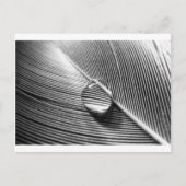 Raindrop op Leaf Briefkaart (Voorkant)