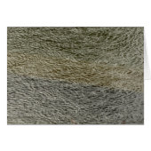 Raindrop Ripples Abstracte Natuur Fotografie (Voorkant Horizontaal)