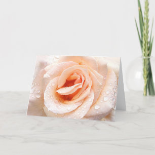 Raindrop rose greeting card kaart