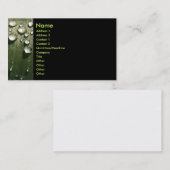 Raindrop Shadows Visitekaartje (Voorkant / Achterkant)