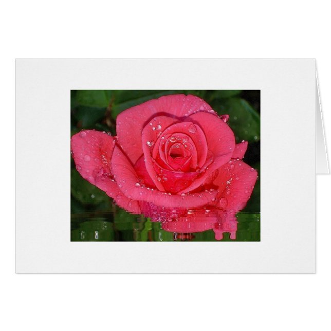 Raindrops (Voorkant Horizontaal)