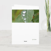 Raindrops and Green Leaves Folded Thank You Card Bedankkaart (Achterkant)