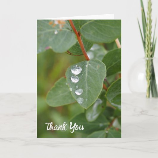 Raindrops and Green Leaves Folded Thank You Card Bedankkaart (Voorkant)