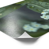 Raindrops blijven vallen foto afdruk (Hoek)