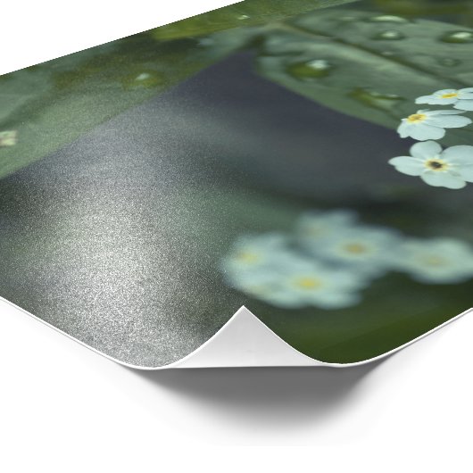 Raindrops blijven vallen foto afdruk (Hoek)