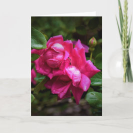 Raindrops en rode rozen, kaart