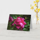 Raindrops en rode rozen, kaart (Gele Bloem)