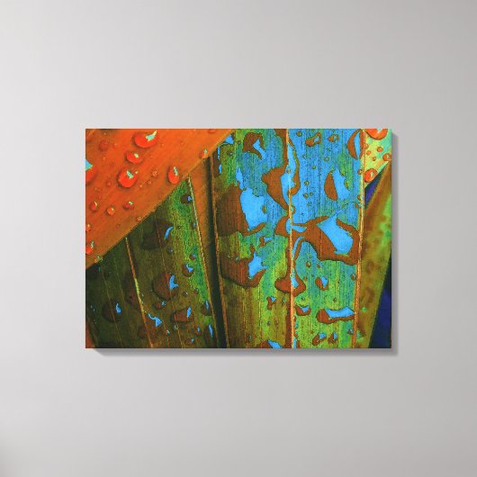 Raindrops gaan tropisch canvas afdruk (Voorkant)