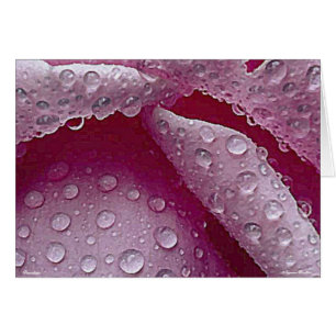 Raindrops -Kaart-