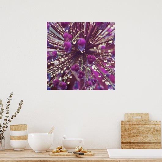 Raindrops op Abstract Paarse Allium Flower Macro Poster (Keuken)