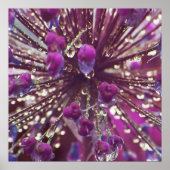 Raindrops op Abstract Paarse Allium Flower Macro Poster (Voorkant)