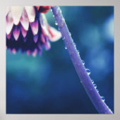 Raindrops op Abstracte Vloerstmacro Poster (Voorkant)