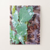 Raindrops op bloemen, Aquilegia Legpuzzel (Verticaal)
