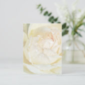 Raindrops op Champagne Blush White Rose floral Po Briefkaart (Staand voorkant)