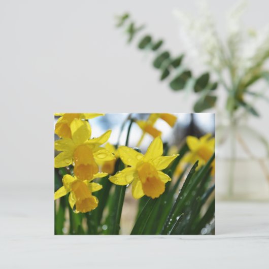 Raindrops op Daffodils Briefkaart (Staand voorkant)