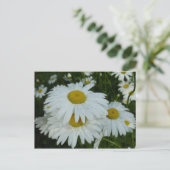Raindrops op Daisies Wildflower Floral Briefkaart (Staand voorkant)