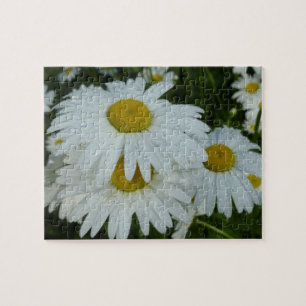 Raindrops op Daisies Wildflower Floral Legpuzzel