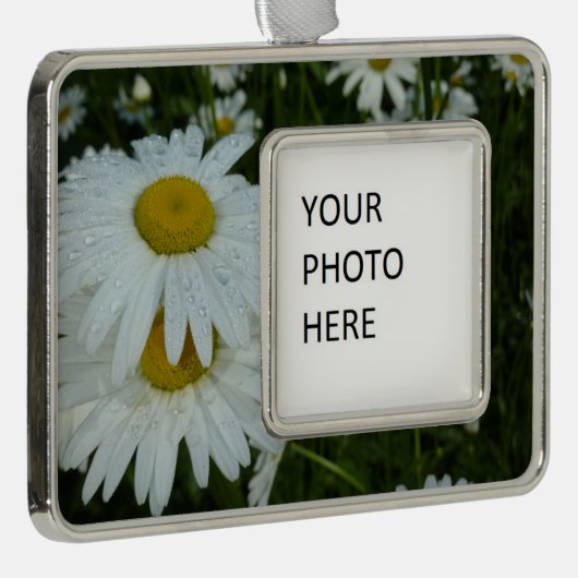 Raindrops op Daisies Wildflower Floral Verzilverd Omlijst Ornament (Rechts)