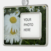 Raindrops op Daisies Wildflower Floral Verzilverd Omlijst Ornament (Links)