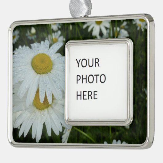Raindrops op Daisies Wildflower Floral Verzilverd Omlijst Ornament (Links)