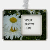 Raindrops op Daisies Wildflower Floral Verzilverd Omlijst Ornament (Voorkant)