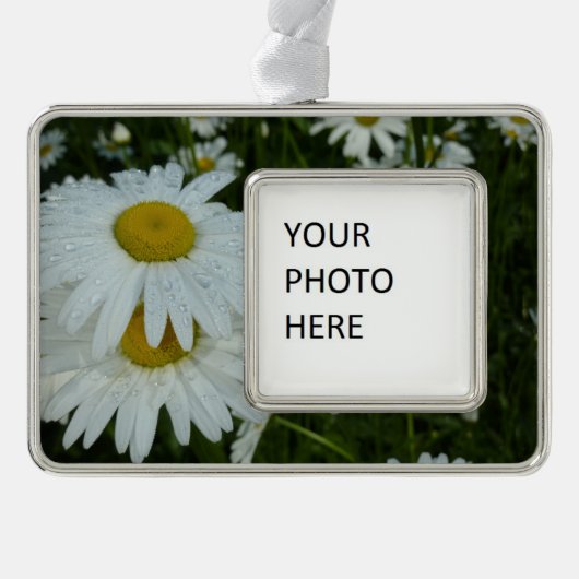 Raindrops op Daisies Wildflower Floral Verzilverd Omlijst Ornament (Voorkant)