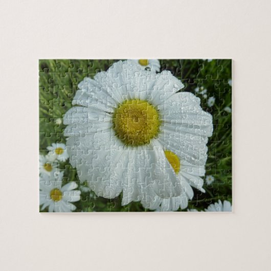 Raindrops op Daisy I Wildflower Floral Legpuzzel (Horizontaal)