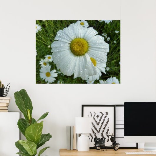 Raindrops op Daisy I Wildflower Floral Poster (Thuiskantoor)