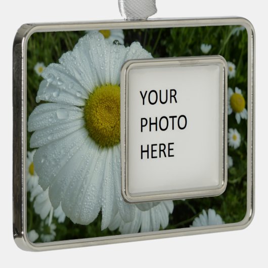 Raindrops op Daisy I Wildflower Floral Verzilverd Omlijst Ornament (Rechts)