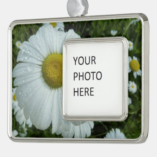 Raindrops op Daisy I Wildflower Floral Verzilverd Omlijst Ornament (Links)