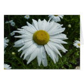 Raindrops op Daisy II Wilde Floral (Voorkant Horizontaal)