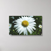 Raindrops op Daisy II Wilde Floral Canvas Afdruk (Voorkant)