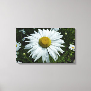 Raindrops op Daisy II Wilde Floral Canvas Afdruk