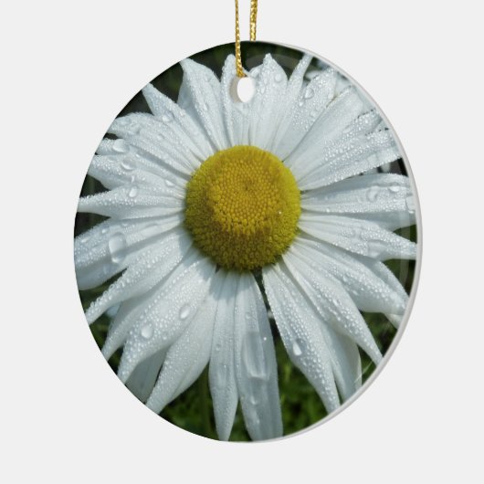 Raindrops op Daisy II Wilde Floral Keramisch Ornament (Links)