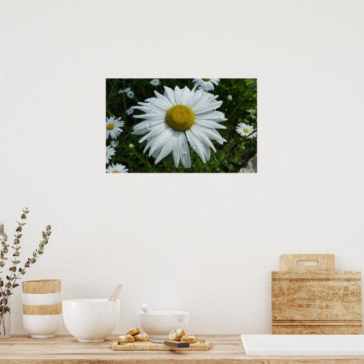 Raindrops op Daisy II Wilde Floral Poster (Keuken)