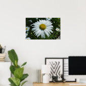 Raindrops op Daisy II Wilde Floral Poster (Thuiskantoor)