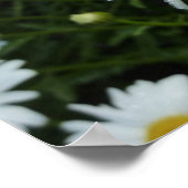 Raindrops op Daisy II Wilde Floral Poster (Hoek)