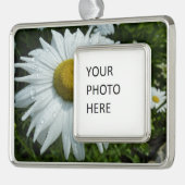 Raindrops op Daisy II Wilde Floral Verzilverd Omlijst Ornament (Links)