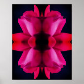 Raindrops op de Abstracte rode rosebud Poster (Voorkant)