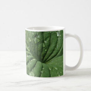 Raindrops op de Hosta Leaf-Mok Koffiemok