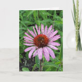 Raindrops op de kloonventilator kaart (Voorkant)