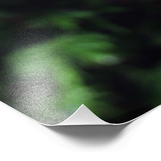 Raindrops op een boomtak (#2) foto afdruk (Hoek)