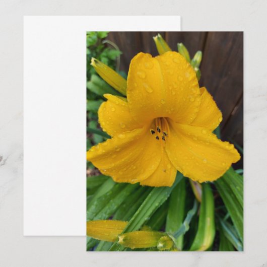 Raindrops op een gele blanco blanco kaart voor lic (Voorkant / Achterkant)